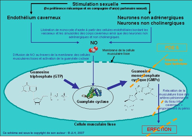 stimulation s3xuelle